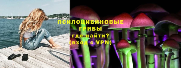 мяу мяу мука Балабаново